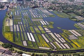 Groente op het water -9-2027