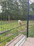 IMG-20220912-WA0001.jpg