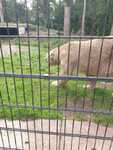 IMG-20220912-WA0002.jpg