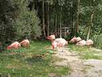 IMG-20220912-WA0007.jpg