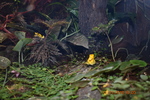 DSC_0028.JPG