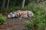 DSC_0037.JPG