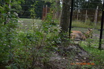 DSC_0038.JPG