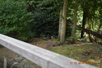 DSC_0046.JPG