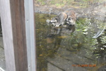 DSC_0048.JPG