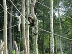 IMG_1066.JPG