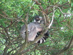 IMG_1068.JPG