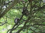 IMG_1069.JPG