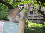 IMG_1074.JPG