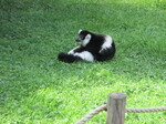 IMG_1076.JPG