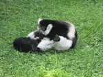 IMG_1077.JPG