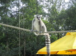 IMG_1078.JPG