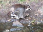 IMG_1081.JPG