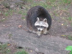 IMG_1082.JPG