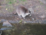 IMG_1083.JPG
