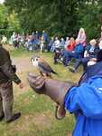 IMG-20230703-WA0044.jpg