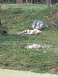 IMG20220912140737.jpg