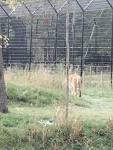 IMG20220912140823.jpg