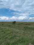 438159124_1410097683044755_8874929677085165713_n.jpg