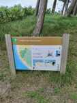 441075276_308358658998251_1528689611949549786_n.jpg