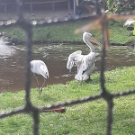 IMG-20220912-WA0043.jpg