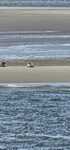 Afbeelding van WhatsApp op 2024-05-27 om 14.52.09_adff21ad.jpg