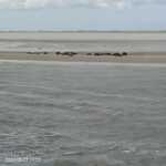 Afbeelding van WhatsApp op 2024-05-28 om 20.18.26_446d4c88.jpg