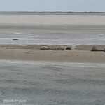 Afbeelding van WhatsApp op 2024-05-28 om 20.18.27_bcd67bf1.jpg
