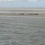 Afbeelding van WhatsApp op 2024-05-28 om 20.18.28_8c7b15f7.jpg