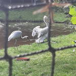 IMG-20220912-WA0059.jpg